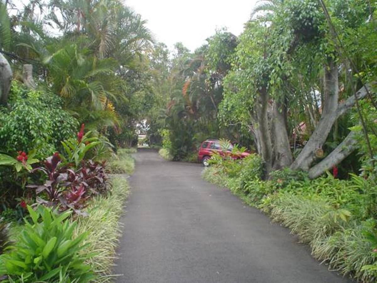 Hotel Villas Colibri Alajuela Eksteriør bilde