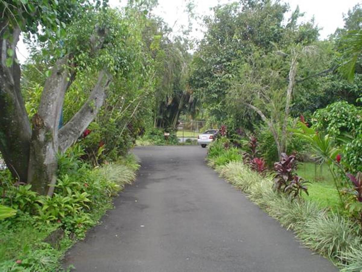 Hotel Villas Colibri Alajuela Eksteriør bilde