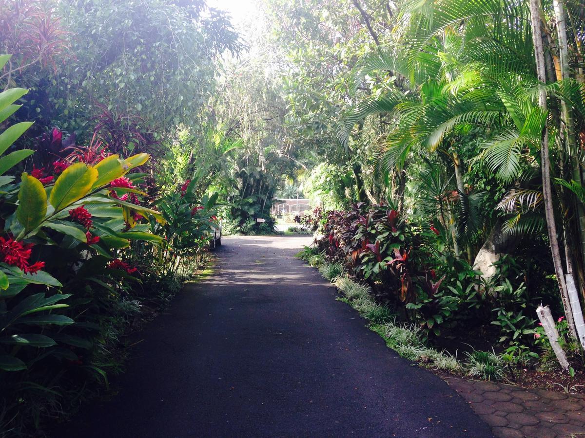 Hotel Villas Colibri Alajuela Eksteriør bilde